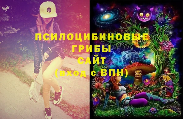 спайс Алексин