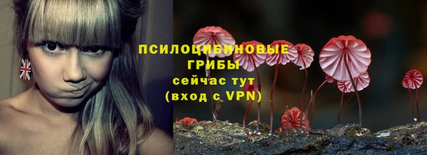 спайс Алексин