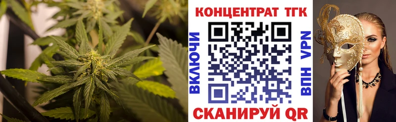даркнет сайт  Щигры  Дистиллят ТГК THC oil 